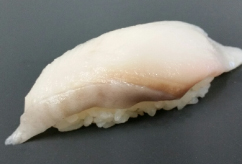 銀鱈