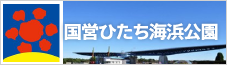 国営ひたち海浜公園